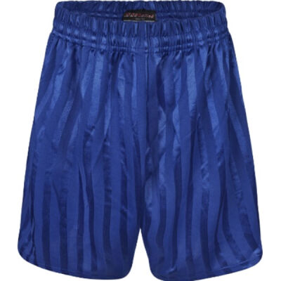 P.E. Shadow Stripe Shorts Thumbnail